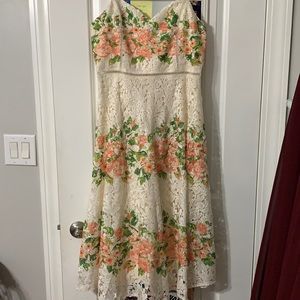 NWT Champagne and Strawberry floral printed lace dress from Vici